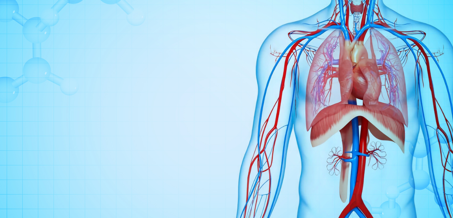 NINGBO LINSTANT POLYMER MATERIALS CO,. OY.