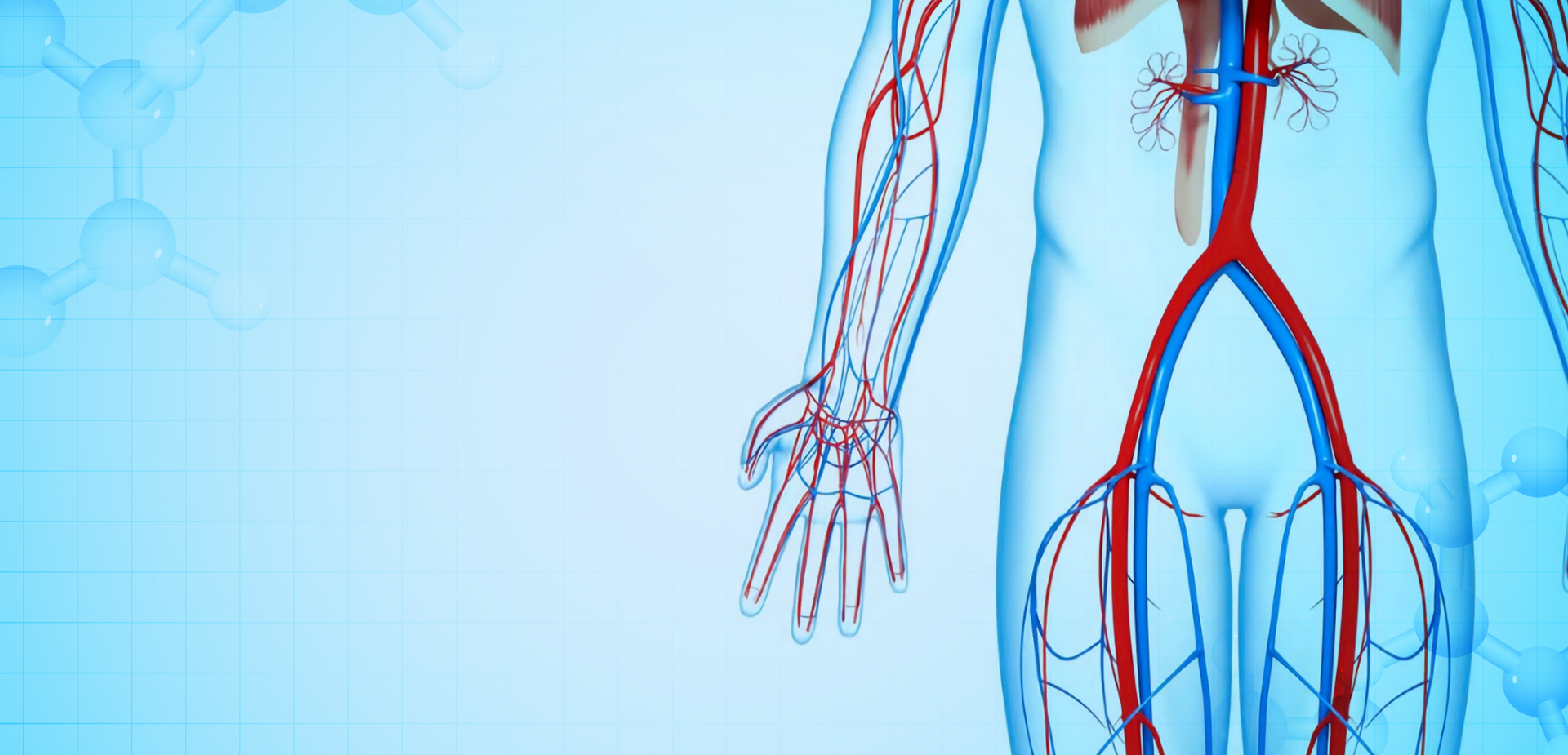 NINGBO LINSTANT POLYMER MATERIALS CO,. OY.