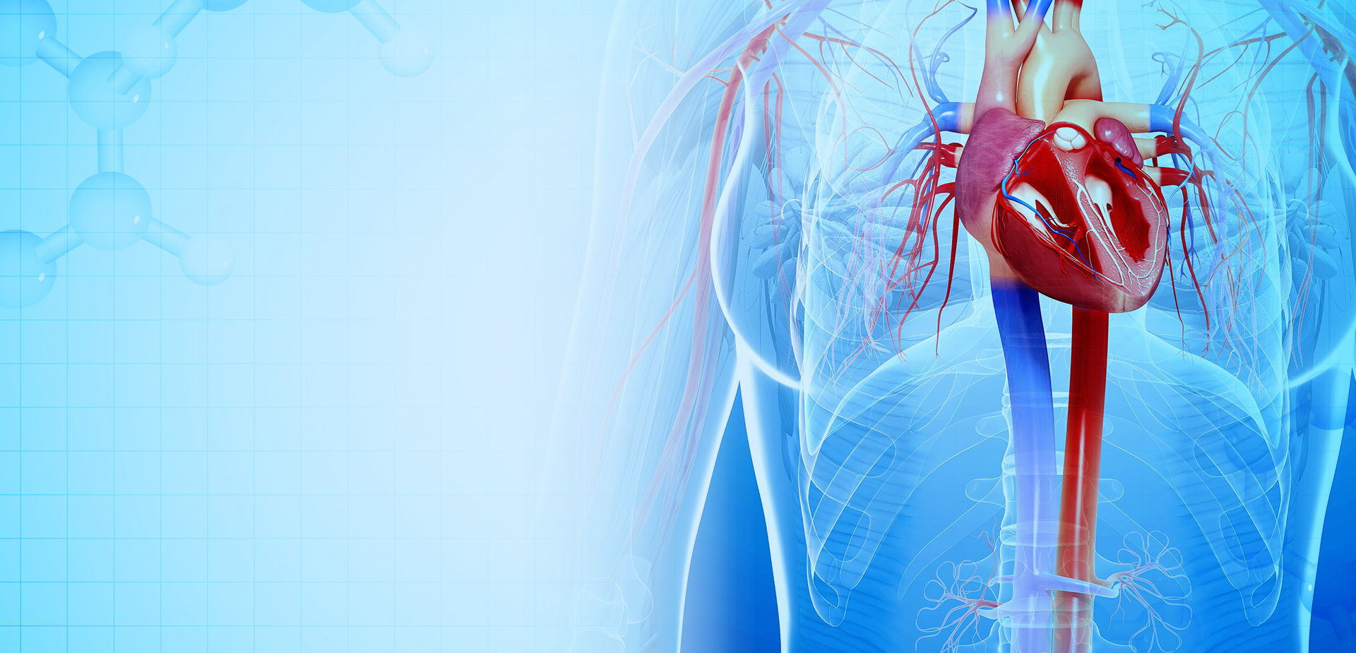 NINGBO LINSTANT POLYMER MATERIALS CO,. OY.