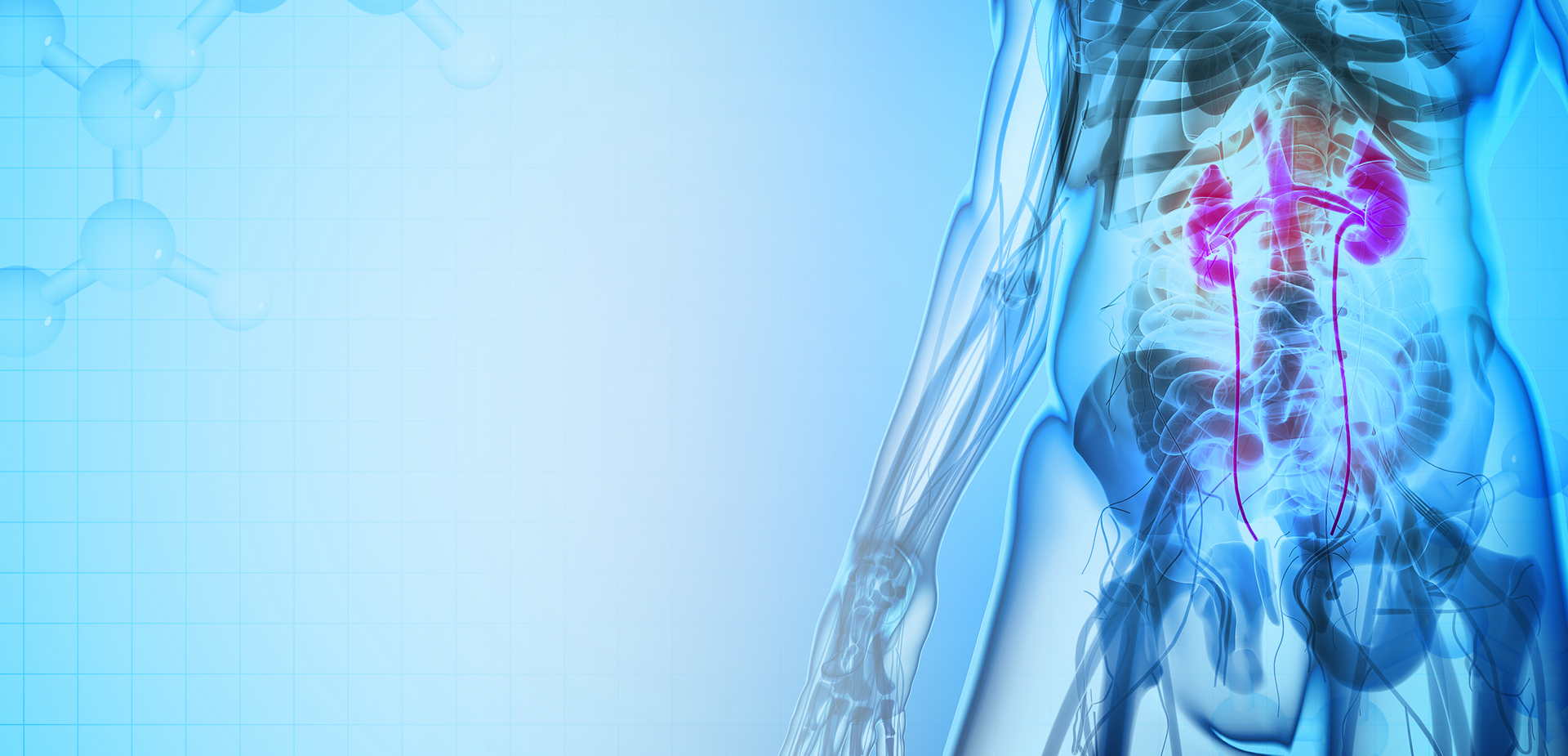 NINGBO LINSTANT POLYMER MATERIALS CO,. OY.